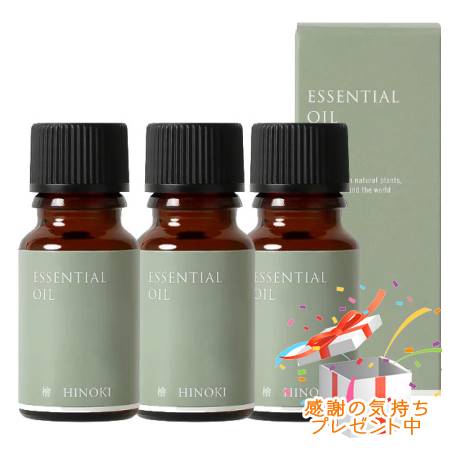 Tree of life やって行くの木 エッセンシャルオイル 檜 ヒノキ 揮発油 10mL 3個書き割り ※外箱折りたたんでご送りとどける※