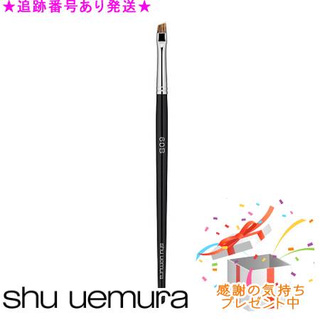 Shu uemura シュウウエムラ 毛はらい 27 人間の顔黒色火薬用 差し上げ物付
