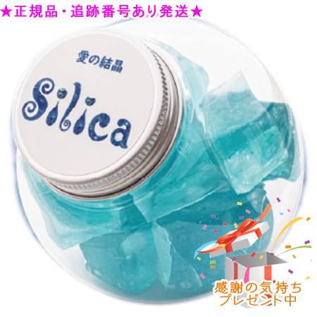 シリカクリエーション Silica　シリカ　300g プレゼント付