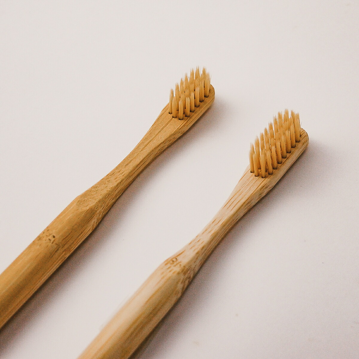 楽天市場 竹歯ブラシ 単品 コンパクト Fsc認証 100 オーガニック Mana Organic Living Bamboo Toothbrush ナチュラル 天然素材 エコ エシカル サスティナブル 脱プラ コンポスト可能 環境にやさしい Bibelot