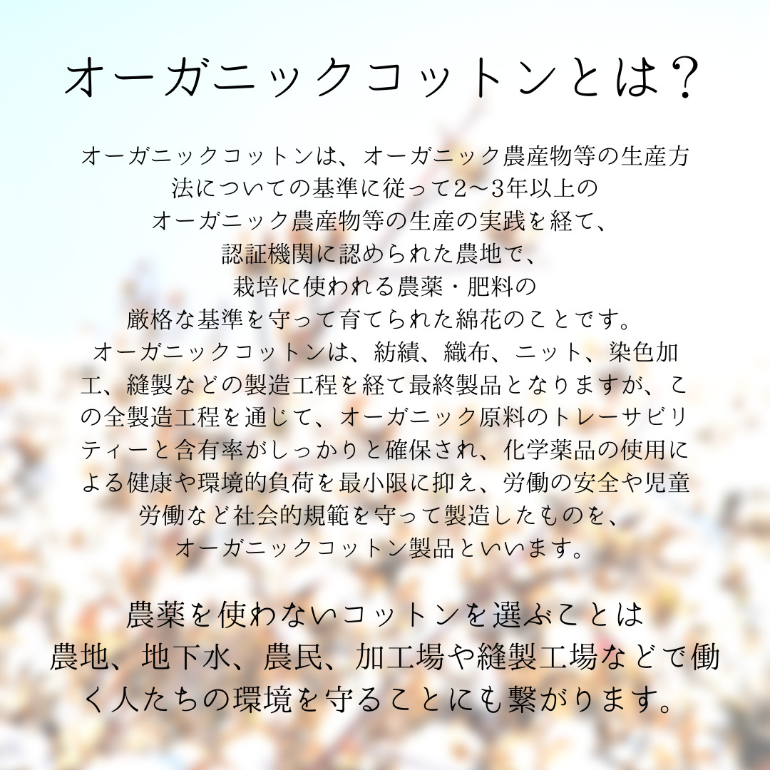 コットンバッグ 3枚 セット GOTS認証 オーガニックコットン100% コットンベジバッグ エコバッグ プロデュースバッグ 無地 オーガニックコットン 野菜 果物 保存袋 野菜バッグ おしゃれ 小分け袋 巾着袋 野菜バック