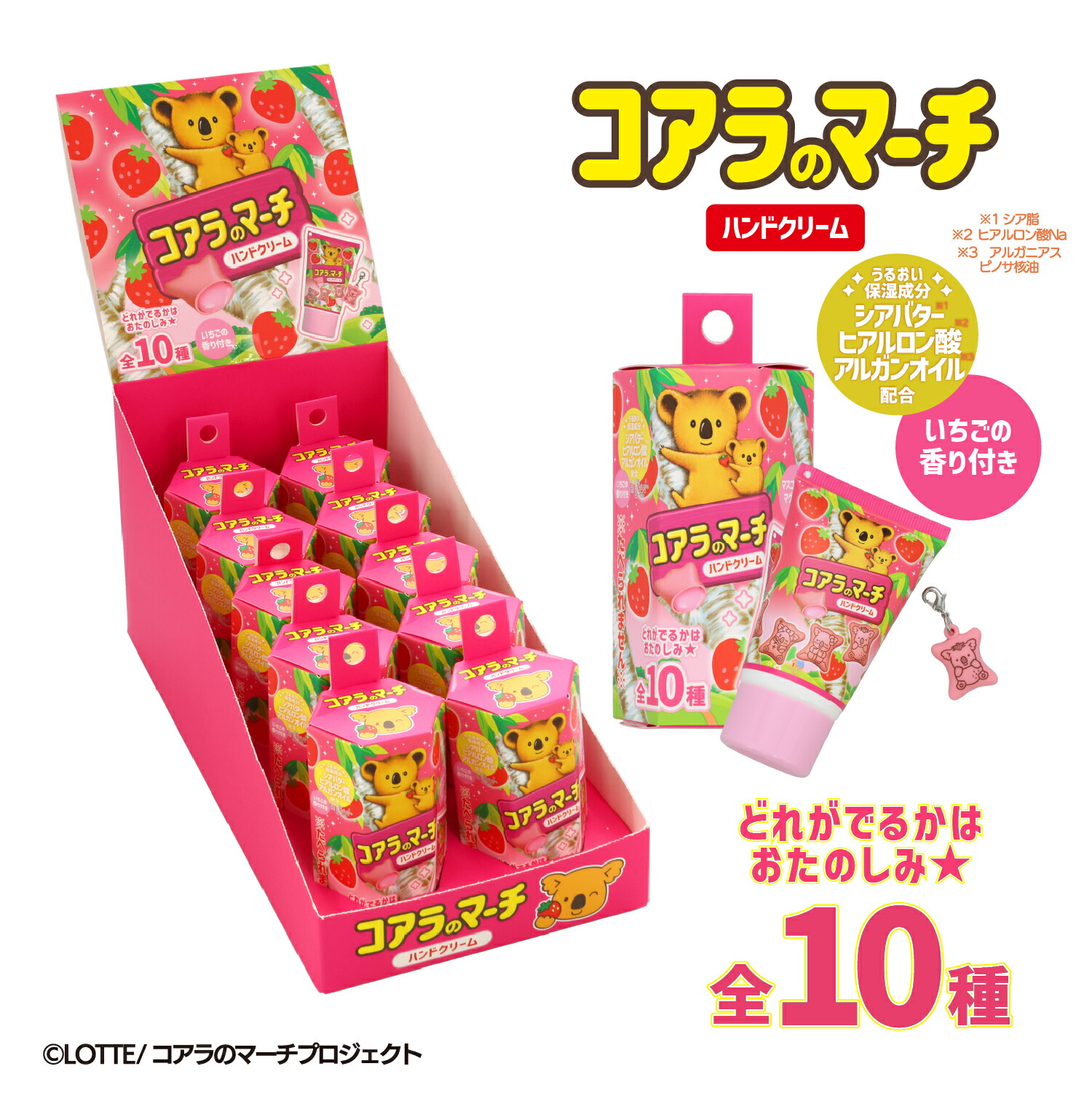コアラ出品 km41045_01.jpg