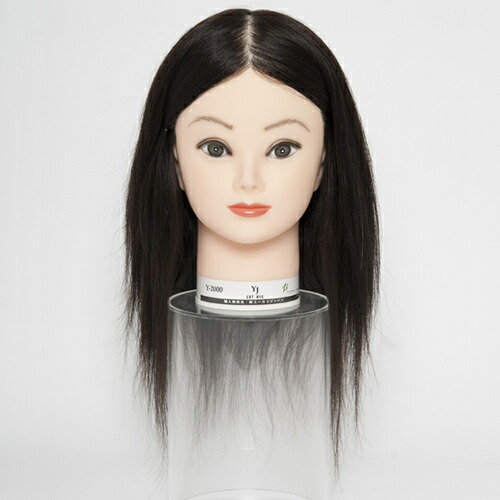 楽天市場】ユーカリジャパン カットウィッグ カットスタイル専門モデル