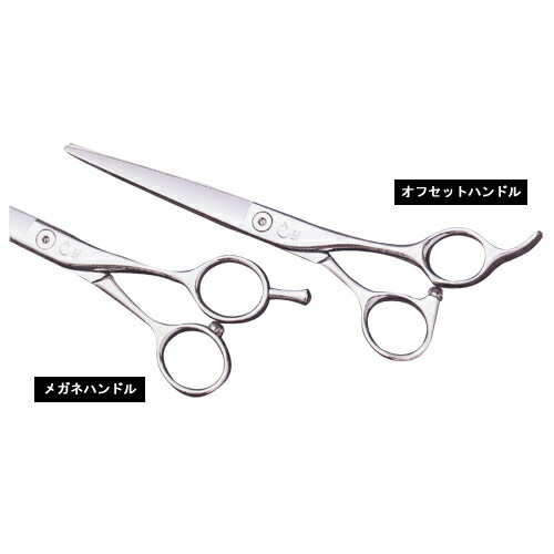 【送料無料】 EZY SCISSORS 美容師用はさみ カットはさみ EC625r 母の日 ギフトに プレゼントに