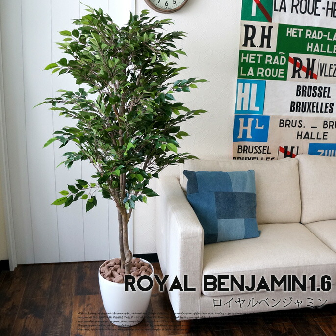 【マラソンクーポン10%OFF!!7/27 9:59迄】ロイヤルベンジャミン 1．6(royal benjamin 1．6) 光触媒 イミテーショングリーン(Imitation Green)｜家具・インテリア・雑貨　ビカーサ