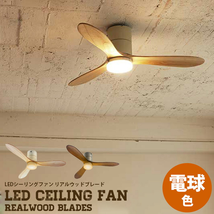 楽天市場 大光電機 Asl 611 シーリングファン リモコン付 畳数設定無し Led 即日発送対応可能 在庫確認必要 Setsuden Led 照明器具専門店 灯の広場