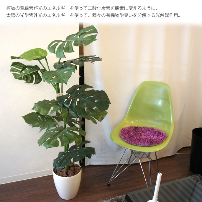 人気のモンステラでおしゃれな空間に 造花 日本製 モンステラ1 花 観葉植物 光触媒 イミテーショングリーン 日本製 送料無料 家具 インテリア 雑貨 ビカーサ