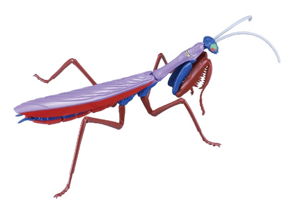 フジミ模型｜FUJIMI 自由研究シリーズ No.234 科学忍者隊ガッチャマン編 オオカマキリ ベルク・カッツェ仕様 【代金引換配送不可】画像