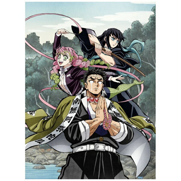 アニプレックス｜Aniplex 【ビックカメラ・コジマ共通オリジナル特典付】鬼滅の刃 柱稽古編 3 完全生産限定盤【DVD】 【代金引換配送不可】画像