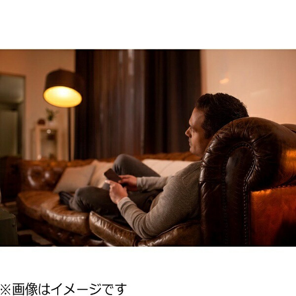 フィリップス｜PHILIPS PY47915L LED電球 Hue（ヒュー） ホワイト