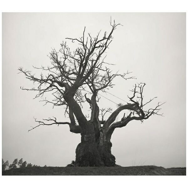 楽天市場 新品 即納 Sekai No Owari 10 19 初回限定盤 2cd Live Best Dvd セカオワ 世界の終わり Spw楽天市場店