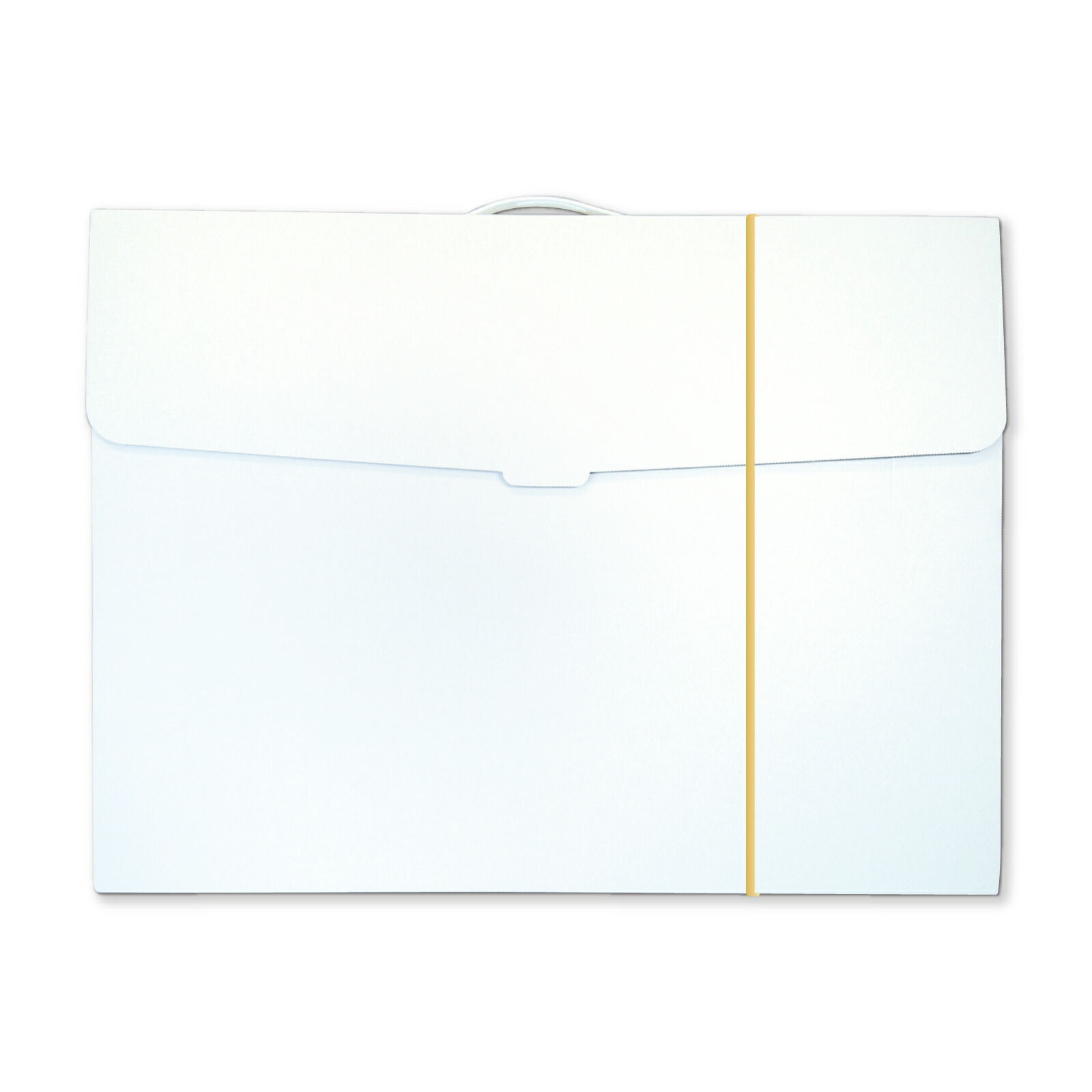 楽天市場】作品収納ケース 白無地 大 1個入 / アート ケース 作品