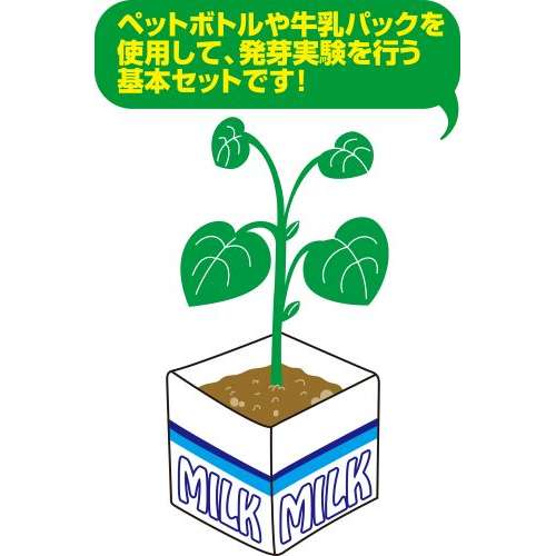 楽天市場 植物の発芽と成長bセット メール便不可 生物 栽培 夏休み 冬休み 理科 自由研究セット 工作キット 学校教材の専門店 美工社