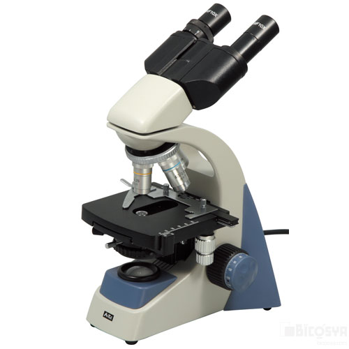 人気絶頂 楽天市場 双眼生物顕微鏡2md400 送料無料 メール便不可 顕微鏡 ステージ上下顕微鏡 夏休み 自由研究 理科 実験キット マイクロスコープ 学校教材の専門店 美工社 人気ショップが最安値挑戦 Www Lexusoman Com