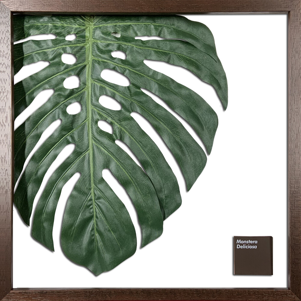 最大68％オフ！ リーフパネル 3点セット Monstera Deliciosa