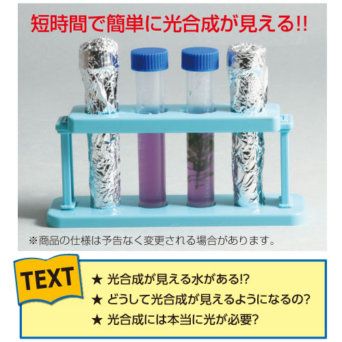 楽天市場 科学シリーズ 簡単 見える 光合成実験セット メール便不可 生物 自然観察 夏休み 実験 自由研究ガイドブック 工作キット セット 小学生 エコ 学校教材の専門店 美工社