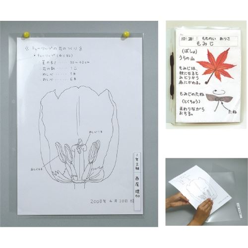 楽天市場】ビニール展示カバー(4切用)[メール便不可]（備品 展示板