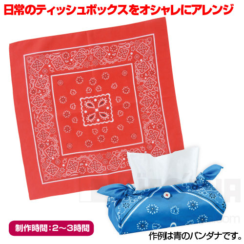 楽天市場 バンダナのティッシュボックスカバー 赤 あす楽対象 メール便 30 学校用品 家庭科 ソーイング 裁縫キット 学校教材の専門店 美工社