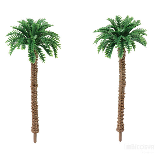 【ヤシの木】 IMG_14131-e1611148803369-