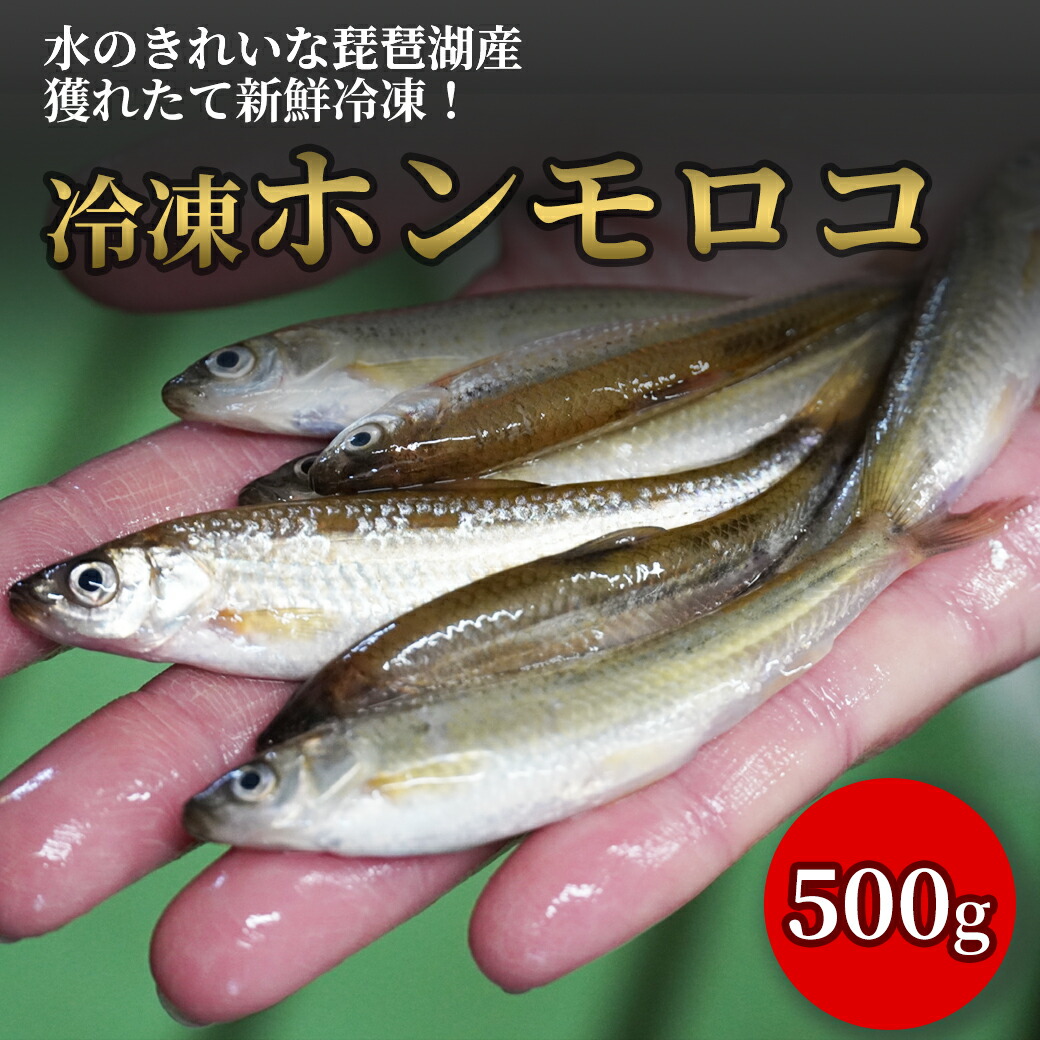 【楽天市場】【少量入荷】びわ湖産 天然ホンモロコ 冷凍 調理用 500g もろこ モロコ 滋賀 漁師直送 産地直送 国産 佃煮 天ぷら 甘露煮 からあげ 食材 鮮魚 新物 自家製 魚友商店 琵琶近江商店 送料無料:業務用ハンガーラック美d生活工房