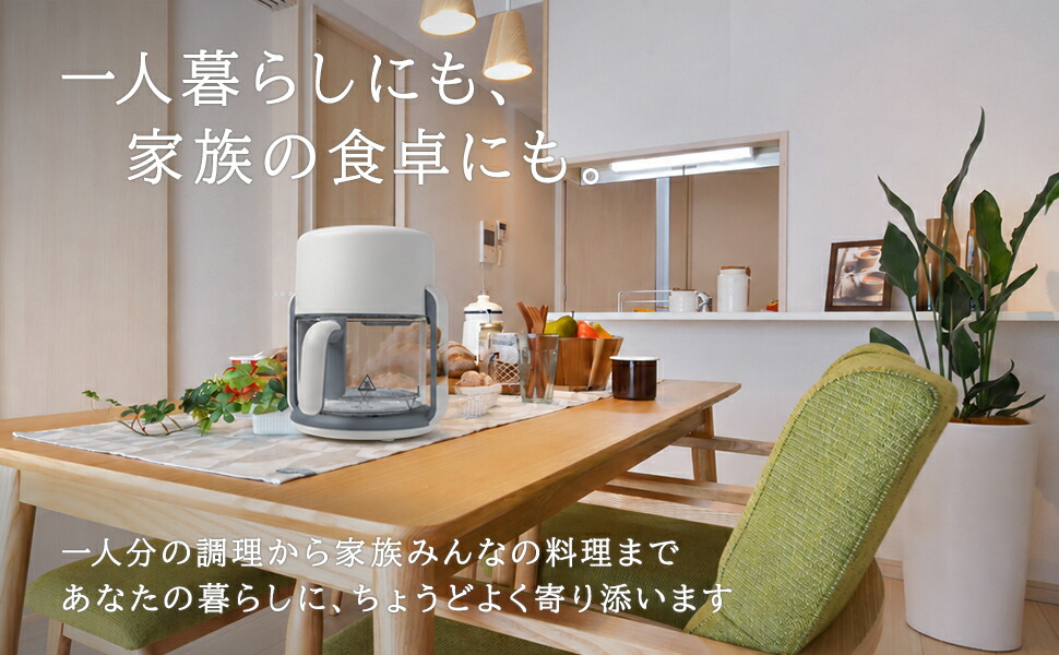 BIEn】 ノンフライヤー エアフライヤー 電気フライヤー ガラスエア
