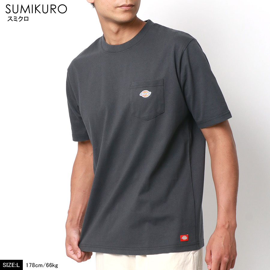 激安超特価 Tシャツ メンズ 半袖 オシャレ ブランド Dickies ディッキーズ ワンポイント 刺繍 ワッペン ポケット 付き ティーシャツ ポケットtシャツ ポケットt ポケt ストリート アメカジ おしゃれ 大人 30代 40代 50代 春 夏 秋 白 黒 M L Ll