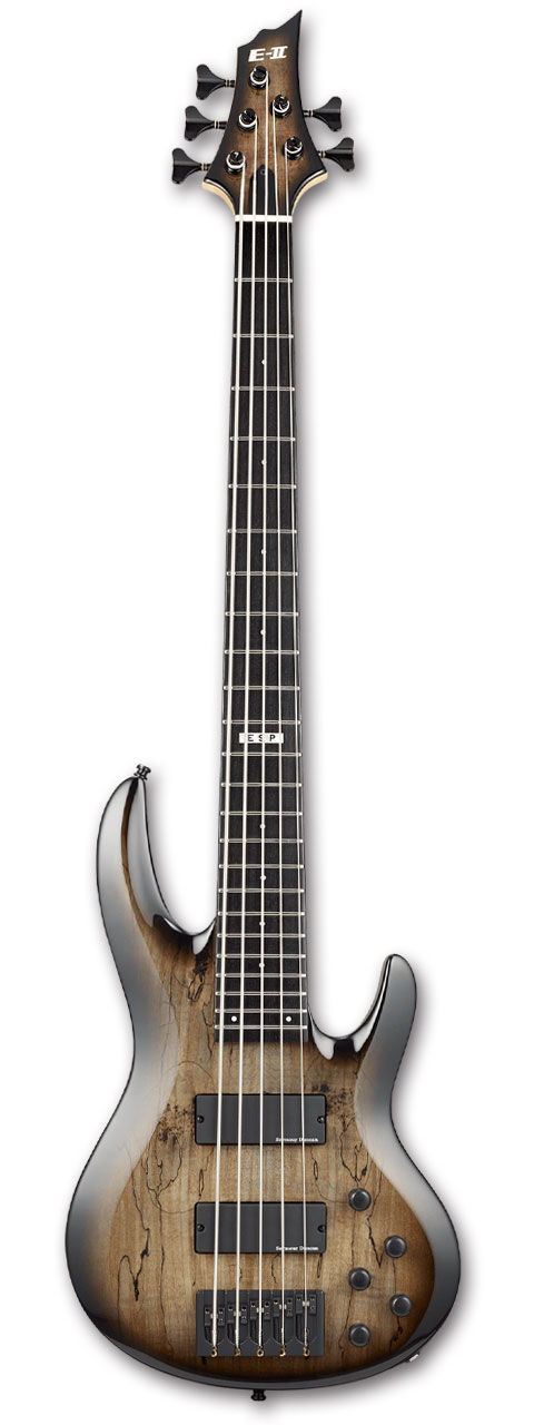 【早い者勝ち】ESP E-II GB-5 5弦 エレキベース GB-5 | ESP GUITARS