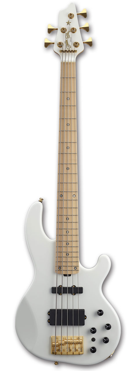 楽天市場】Edwards E-Bardic GV 新品 tetsuyaモデル[エドワーズ][国産