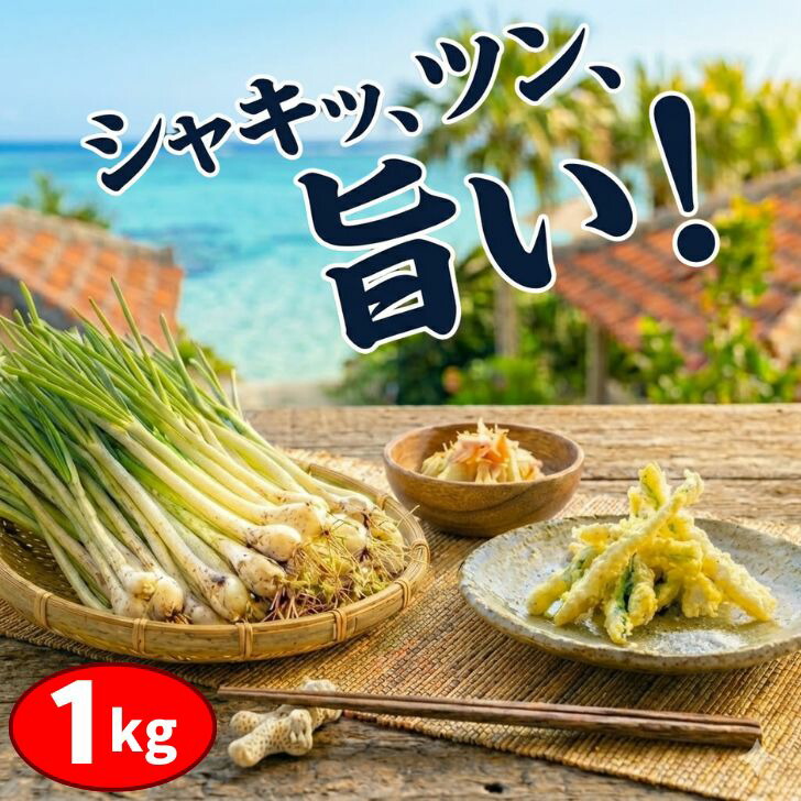 楽天市場】【送料無料】伊江島産島らっきょう 10kg 業者様・飲食店にも