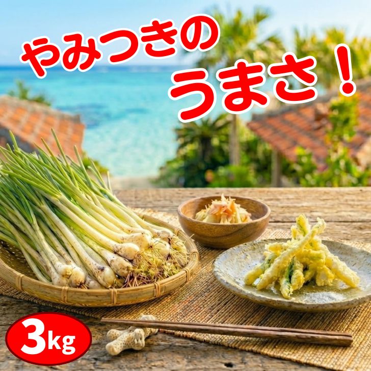 島らっきょう 3kg 沖縄 伊江島産 氷温熟成 大容量 鮮度抜群 土付き 生 島ラッキョウ おつまみ 天ぷら ギフト 贈答 送料無料 生 塩漬け キムチ ふるさと 伊江島 種 苗 島らっきょ お得な640円OFFクーポン配布中！｜accessoryと日用雑貨ならYay found