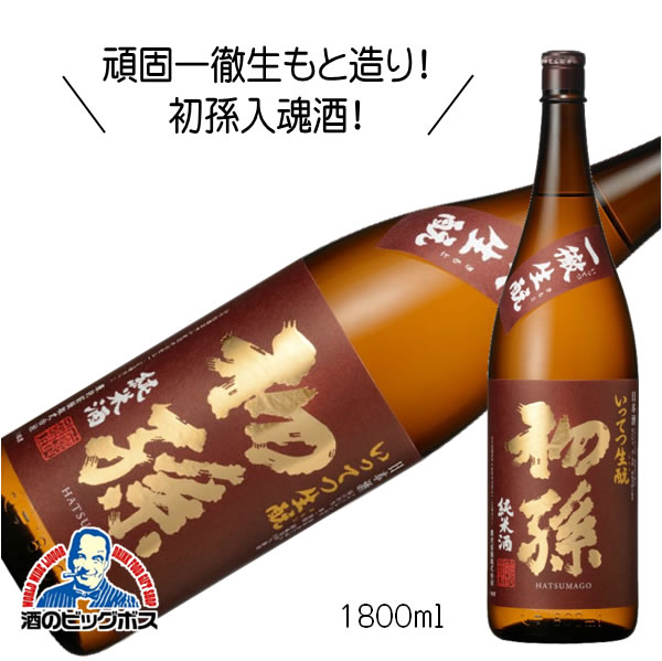 山口徹/ 初秋　鶏頭 山口徹/ 初秋 鶏頭