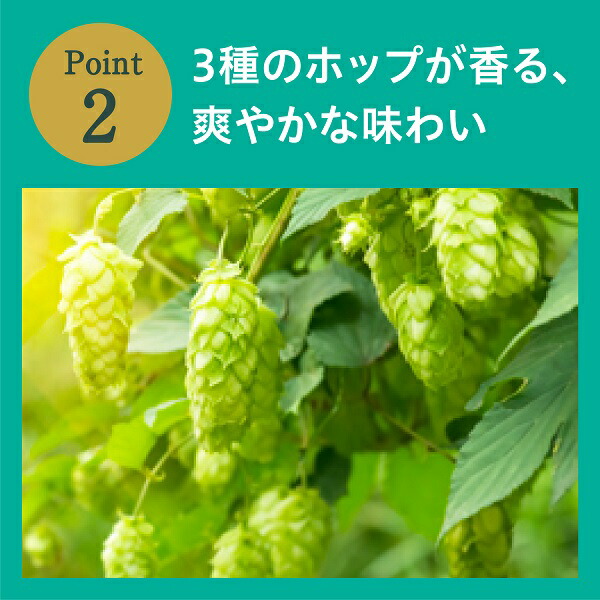 市場 送料無料 キリン グリーンズフリー ノンアルコール ビール