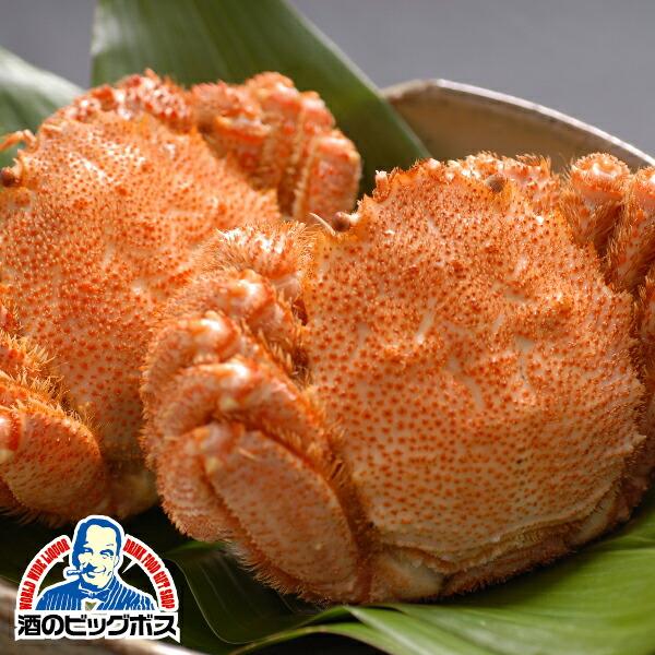 しみくださ お中元 御中元 ギフト 産地直送 Kmj かに ズワイガニ 送料無料 ずわい蟹 K9100 酒のビッグボス 通販 Paypayモール のため