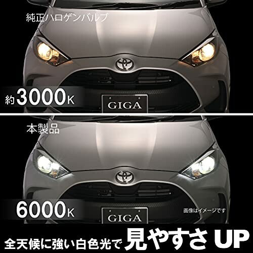 カーメイト 車用 LED ヘッド H16 ギガ S7 H11 シリーズ 6000K フォグ