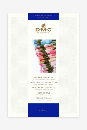 ディーエムシー(DMC) 刺しゅう糸 色役割モデル帳 実物役割モデル付き添い人 W100B