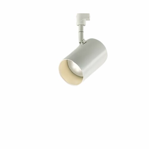 大光電機 DAIKO LED注目の的 調色ざし光 繋ぎ印字機 LED内蔵 LED 9W 昼白いこと～白熱電球色 5000K～2700K 高温発光灯100W好いかげんに 高演色Ra93 上昇限度付・壁付兼用 灯し火工事止むを得ず 白いこと DSL-CD209W