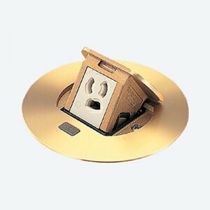パナソニック(Panasonic) アップコンフラットゴールド丸型 抜け打ち切り地べた付 DU5656PK