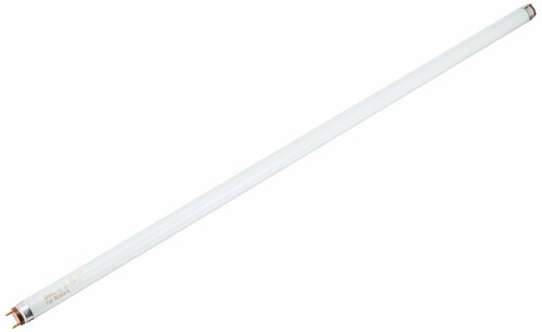 DN書き込み はやりっ児生産ライン か細い螢光灯 FLR30T6EXD