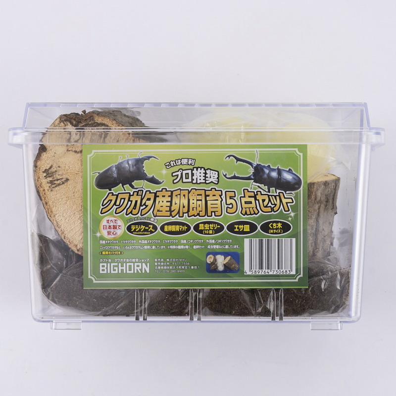 楽天市場】BIGHORN MIKUクワガタ産卵飼育セット 5点セット 飼育ケース