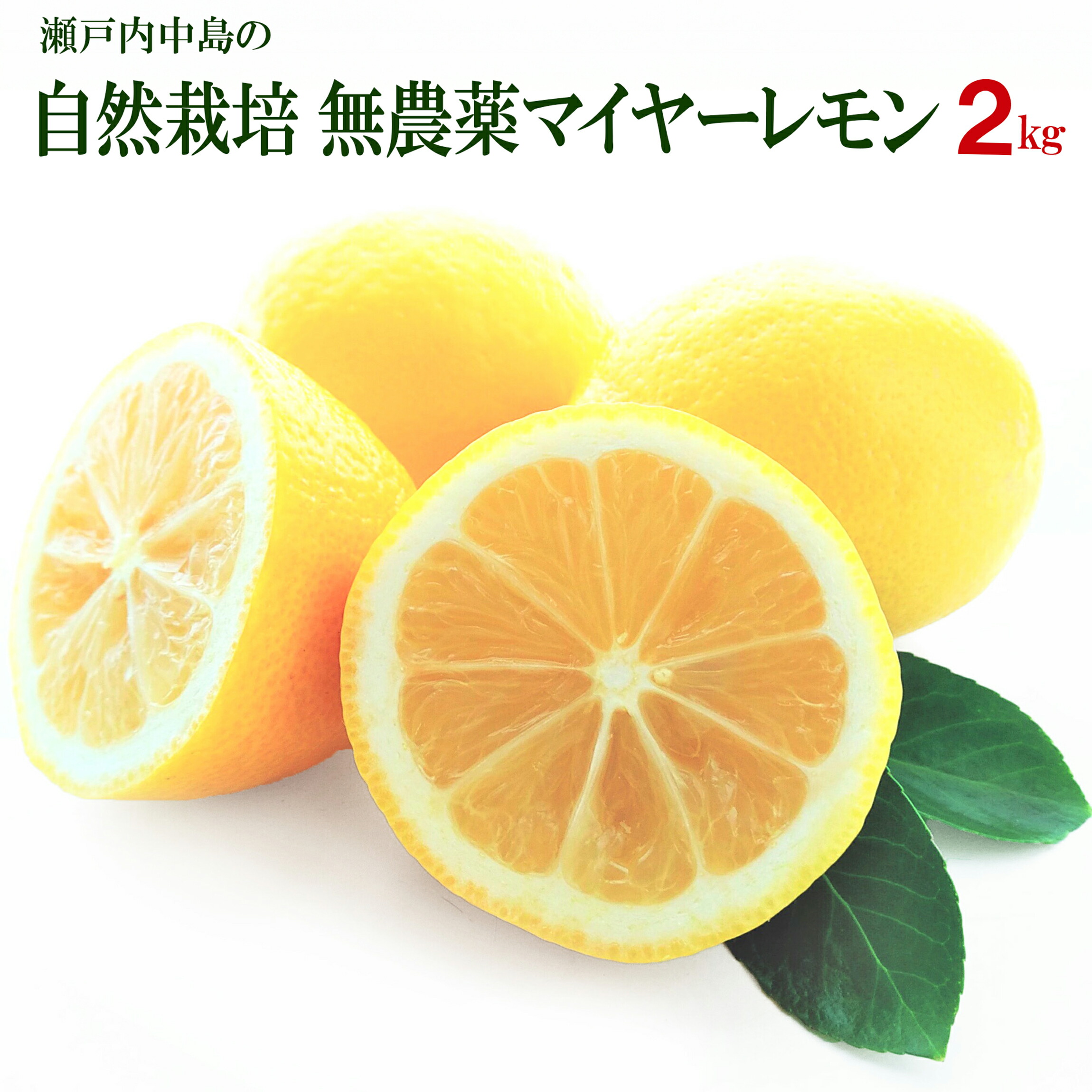 楽天市場】自然栽培 奇跡のレモン 2kg 国産 完全農薬不使用 無肥料