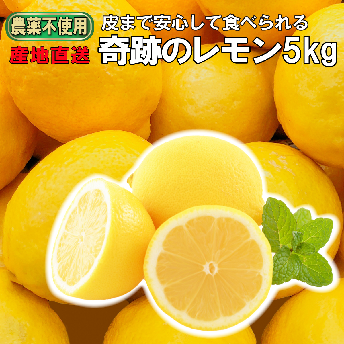 楽天市場】レモン 国産 5kg 瀬戸内レモン 広島 瀬戸田レモン 秀