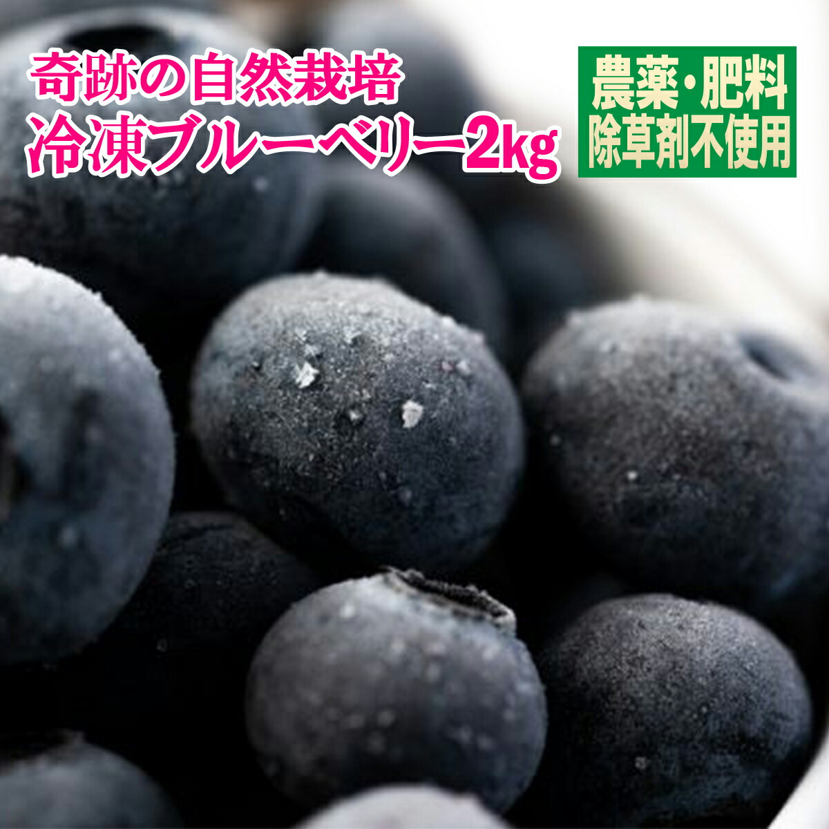 島根県産 冷凍 ブルーベリー 栽培期間中、農薬・化学肥料不使用 島根県産 冷凍 ブルーベリー 栽培期間中、農薬・化学肥料不使用