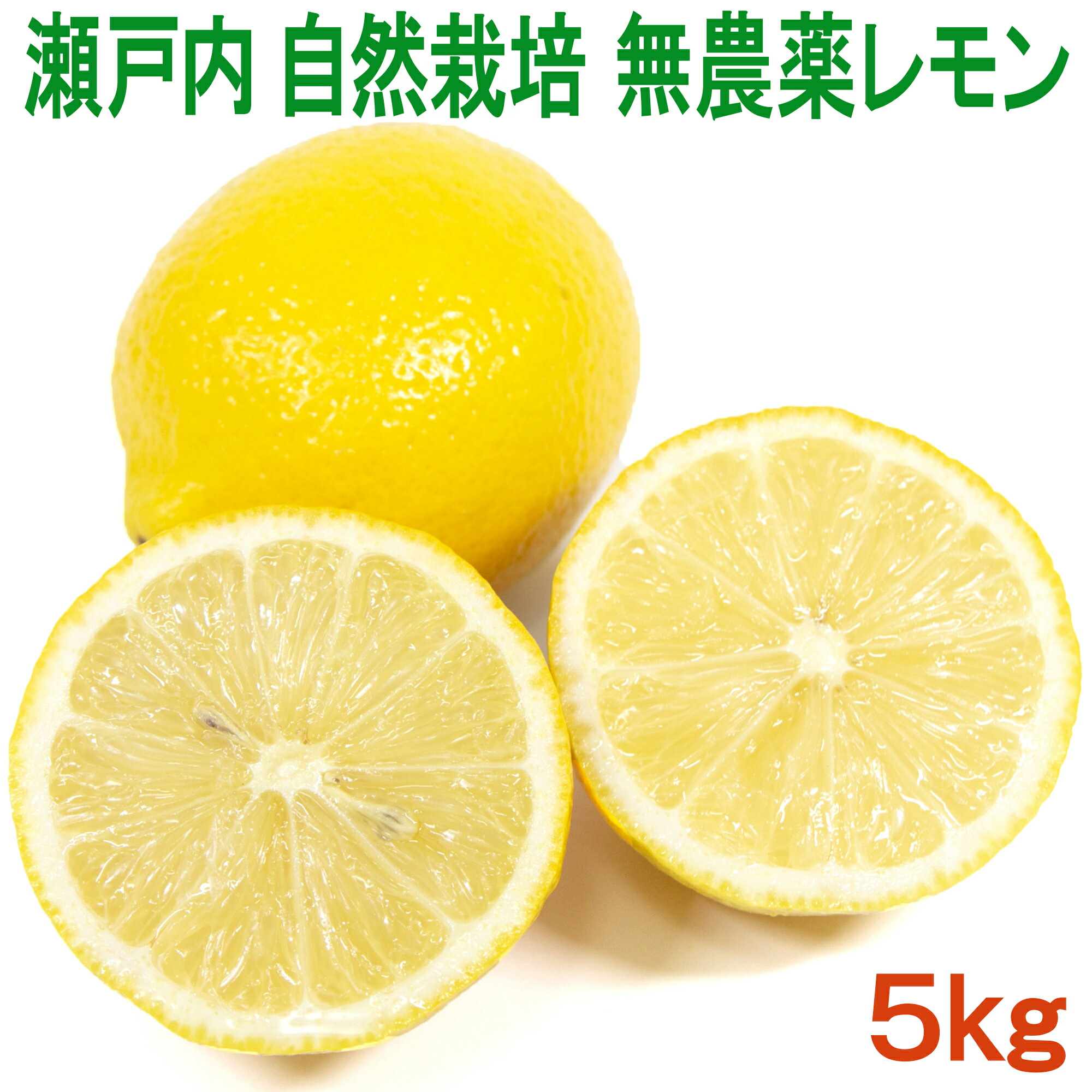 国産 自然栽培 奇跡のレモン5kg 農薬完全不使用 化学肥料・除草剤不使用 ノーワックス 防腐剤 防カビ剤不使用だから中の実も果汁も皮まで安心して食べられる 愛媛県産 大黒農園