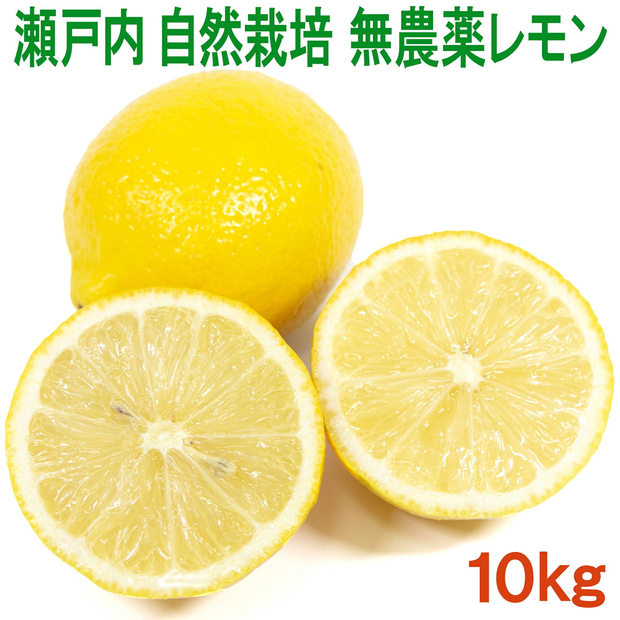 国産 自然栽培 奇跡のレモン10kg 農薬完全不使用 化学肥料・除草剤不使用 ノーワックス 防腐剤 防カビ剤不使用だから中の実も果汁も皮まで安心して食べられる 愛媛県産 大黒農園