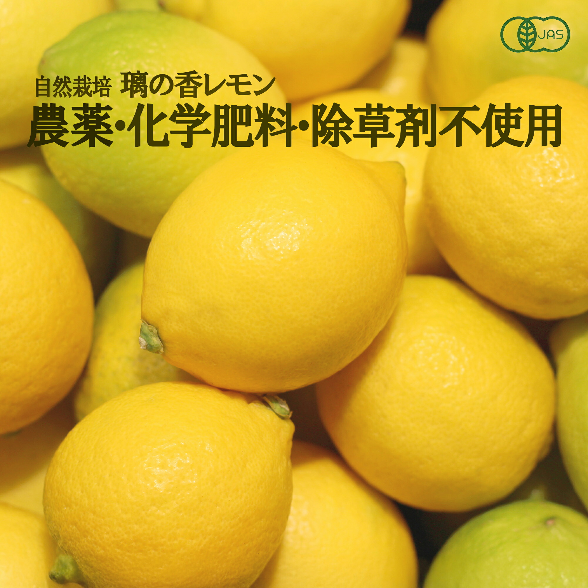 楽天市場】自然栽培 奇跡のレモン 2kg 国産 完全農薬不使用 無肥料