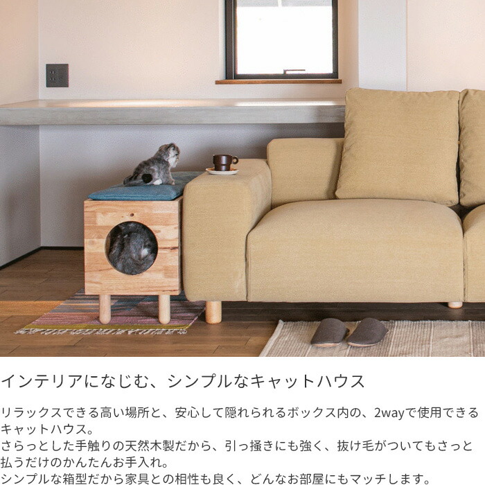 キャットハウス