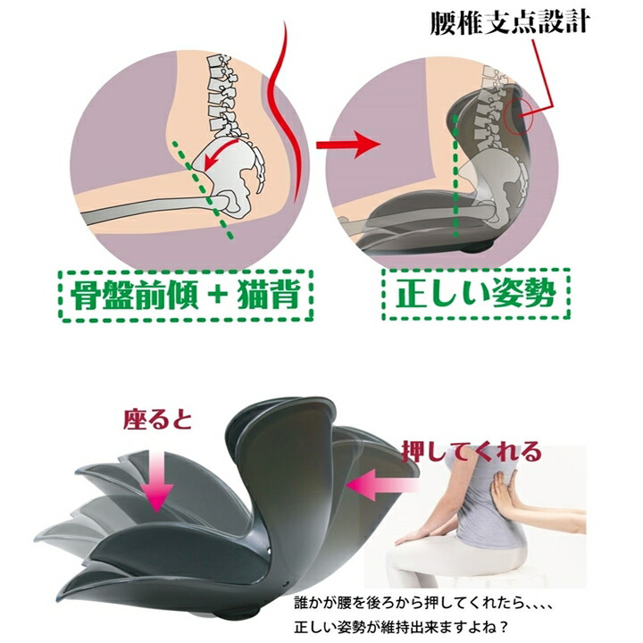 市場 セシルシェイプ 骨盤サポート 椅子 骨盤の歪み チェア 姿勢 イス 腰 座椅子 サポート 腰痛 姿勢矯正