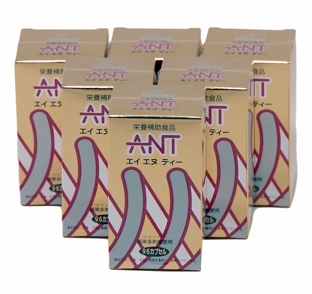 シンギー ANT（エイエヌティー）×6個 蟻工業食料雑貨類
