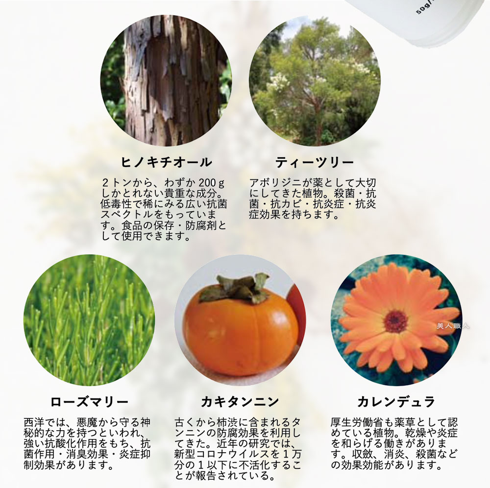 あす他愛ない エステプロ 実験室 ハーブ紅茶 Gデトック ジーデトック 鞄類 1 4g 30風呂敷包 3個設定 Easthe Pro Labo 排出系統 ハーブティー ラズベリー ハーブティー ハーバルティー ハーバルデトックティー エステプロ ラボ エステプロラボ U0b貨物輸送無料