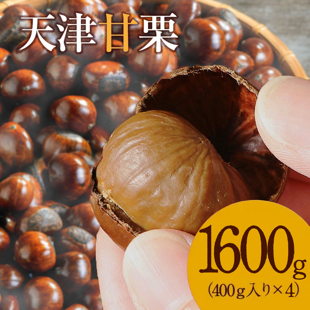 【熊本県産】 秋の味覚 栗 くり 約20kg 家庭用 加工用 秀品 🌰熊本県産 自然栽培和栗 1kg サイズいろいろ🌰：熊本県産の
